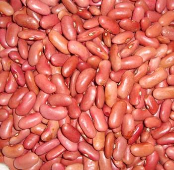 Light Red Kidney Beans