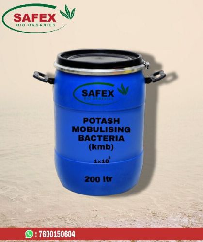 POTASH MOBULISING BACTERIA (K M B), For Agricultural, Purity : 100%