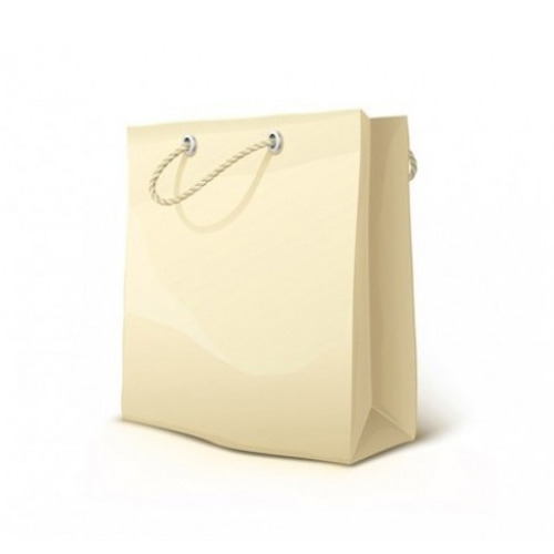 Bravura Plain Shopping Paper Bag, Capacity : 500gm