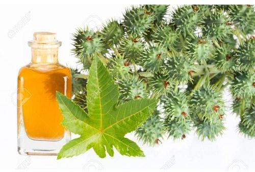 Croton Oil, For Pharma