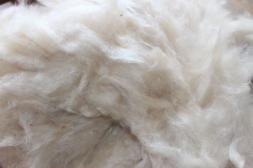 Raw Fine Quality Kapok, Packaging Type : White