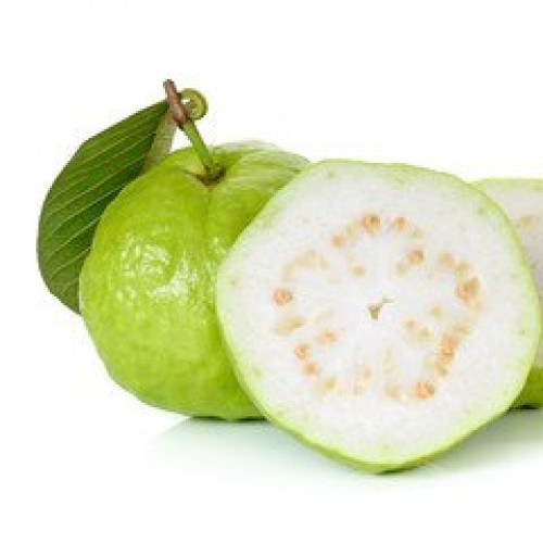 Natural Fresh Guava, For Human Consumption, Packaging Type : Jute Bag