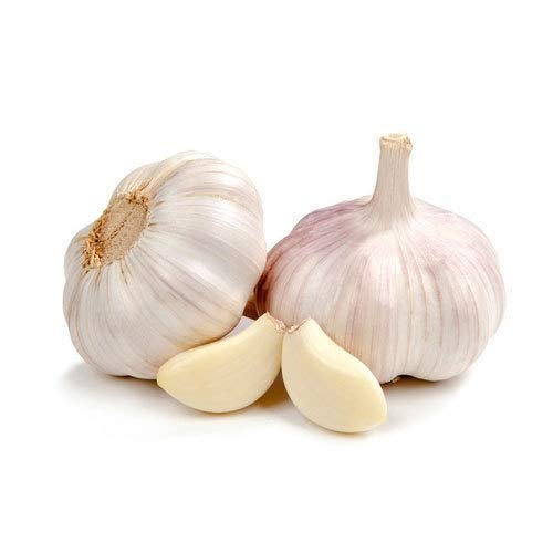 Fresh Garlic, Color : White