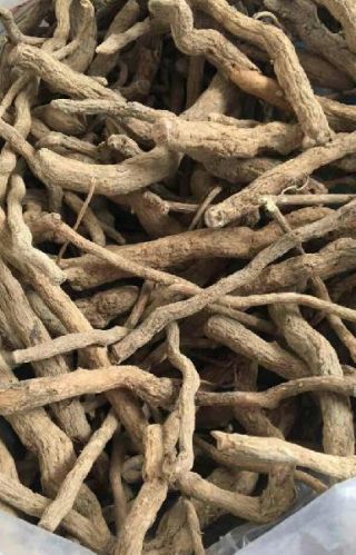 Serpentina Roots, For Medicine, Color : Brown