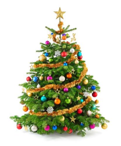 Plastic Christmas Tree, For Decoration, Length : 5ft, 6ft, 7ft