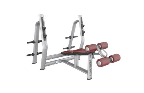 DECLINE BENCH