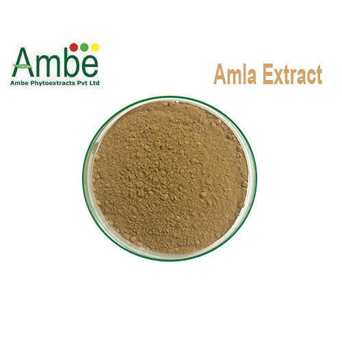 Amla Extract, Packaging Type : HDPE Drum