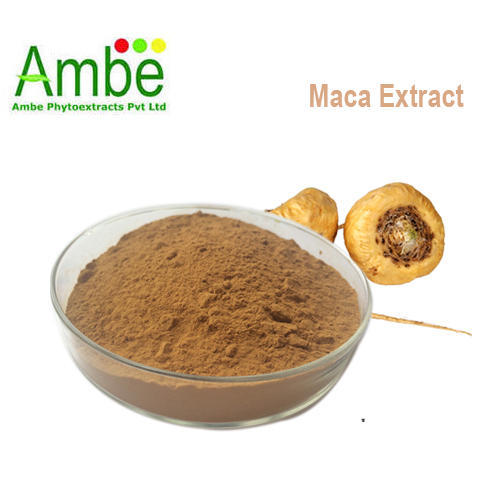 Maca Extract, Packaging Type : Drum, Plastic Container