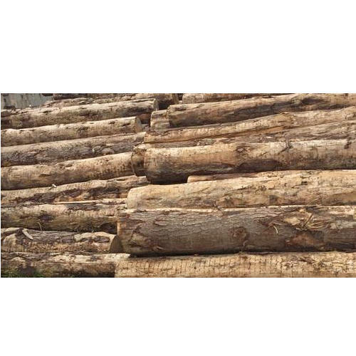 Pine Wood Logs, Pattern : Plain