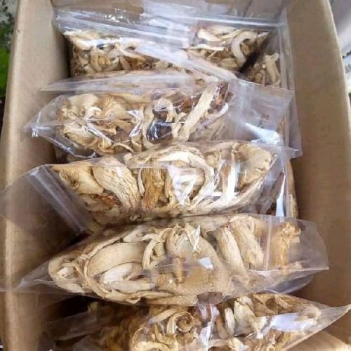 Mushroom, Packaging Type : Plastic Wrapper, Paper Box