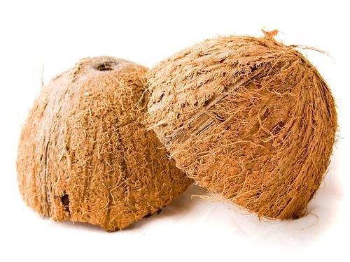 Coconut Shell, For Handicraft, Style : Dried