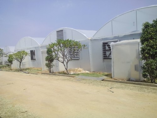 Rectangular Plastic Polished Agricultural Greenhouse, Color : Transparent