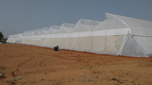 Rectangular Naturally Ventilated Polyhouse, For Greenhouse, Feature : Durable, Fine Finish, Good Quality