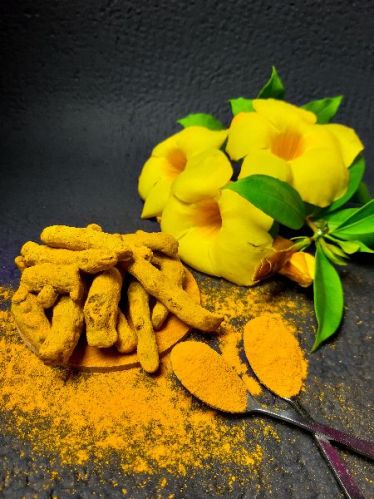 Turmeric Powder, For Cosmetics, Cooking, Pharma