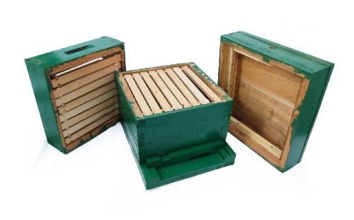 Beehive Box, Shape : Rectangle