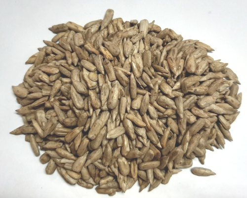 JAINUM Sunflower Seed, Packaging Size : 25 Kg