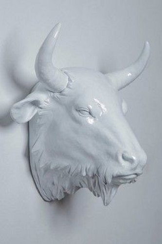 Skyartzone Fiberglass Bull Head Statue, Packaging Type : Plastic Bubble Sheet