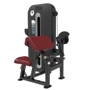 Bicep Tricep Machine
