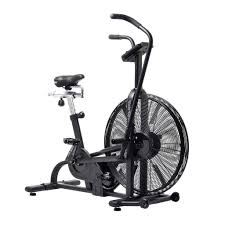 Stainless Steel Exercise Air Bike, For Gym Use, Feature : Excellent Torque Power, Fast Chargeable, Heat Indicator