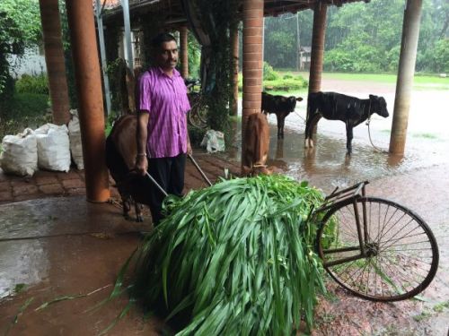 Varanashi Paint Coated Cast Iron Agriculture Hand Trolley, Feature : Easy Operate, Rustproof