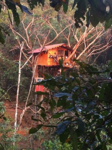 Tree House Accommodation Service