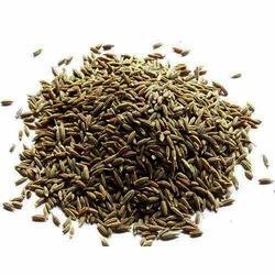 Fennel Powder, Packaging Size : 1 -50 Kg