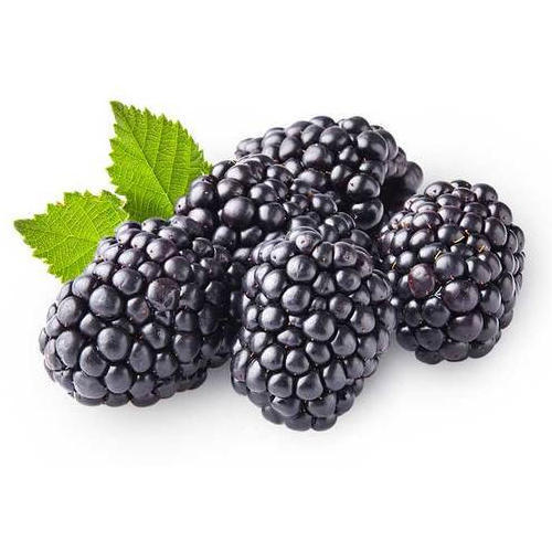 Organic Fresh Blackberry, Packaging Type : Plastic Packet