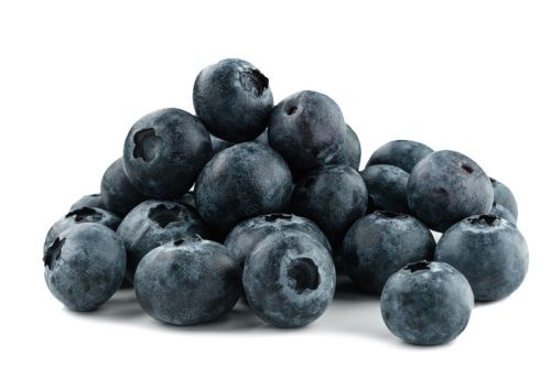 Organic Fresh Blueberry, Shelf Life : 10-15days