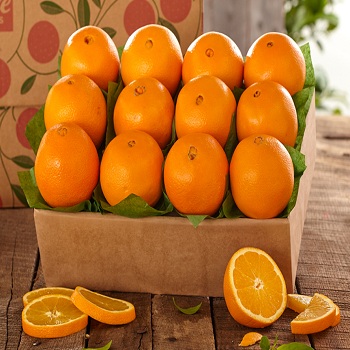 Organic Fresh Egyptian Orange, Packaging Type : Plastic Bag