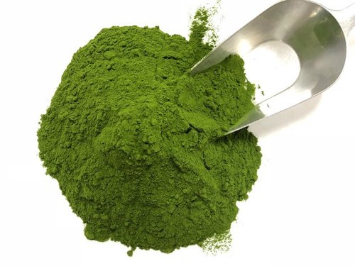 Alfalfa Powder, Color : Light Green