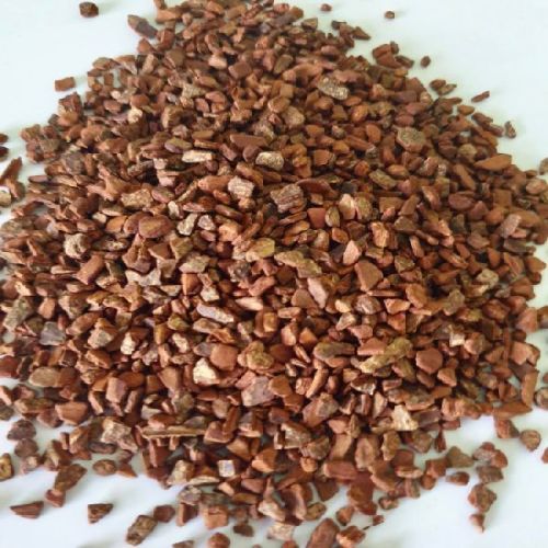 TBC Cinnamon Seeds, Feature : Good Fragrance, Good Quality, Safe To Use