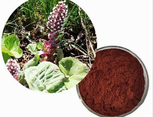 Butternut Extract, Botanical Name : Juglans Cinerea