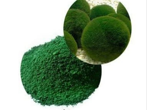 Chlorella Extract, Shelf Life : 6 Months
