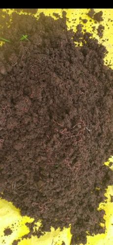 Vermicompost Powder, Purity : 100%