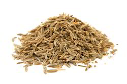 Natural Cumin Seeds, For Spices, Packaging Type : Plastic Pouch, Plastic Packet