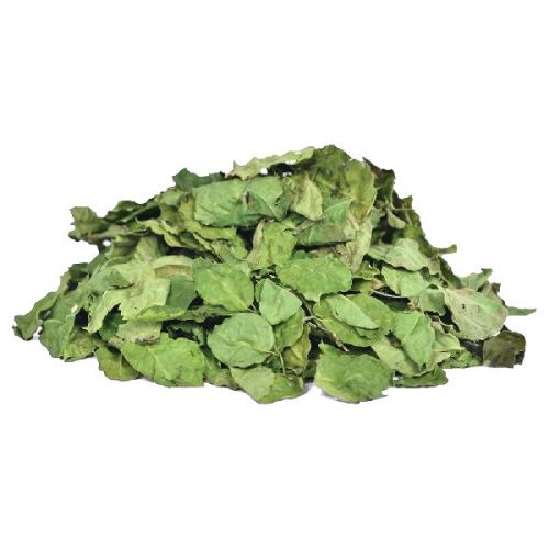 Dried Moringa Leaf, For Cosmetics, Medicine, Feature : Good Quality, Nice Aroma