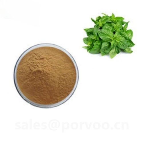 Natural High Quality Holy Basil Extract,Holy Basil Extract Anti-bacterial,Powdered Holy Basil Extrac