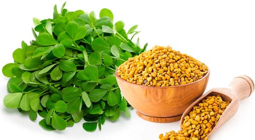 Natural Fenugreek Extract, For Medicinal, Food Additives, Beauty, Packaging Type : Bottle, Poly Bags