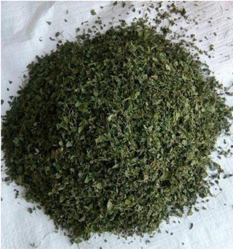 Raw Organic Dried Fenugreek Leaves, Packaging Type : Plastic Packet