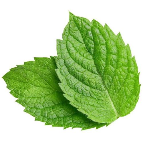 Natural Mint Leaf, Feature : Hygenically Packed