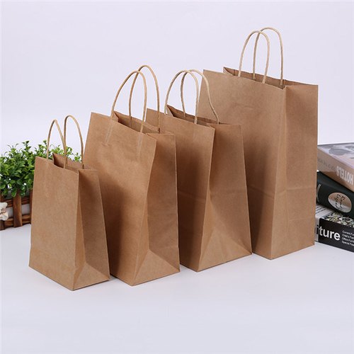 Biodegradable Paper Bags, For Shopping, Pattern : Plain