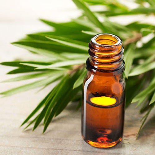 Tea Tree Essential Oil, Purity : 100 %