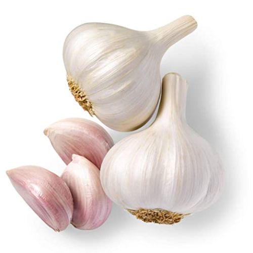 Organic Fresh Garlic, Color : White