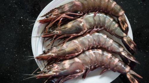 Chopped Frozen Prawns, Packaging Type : Vaccum Packed