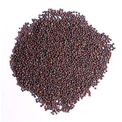 Raw Organic Mustard Seeds, For Cooking, Certification : FSSAI Certified