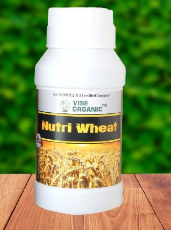 Nutri Wheat