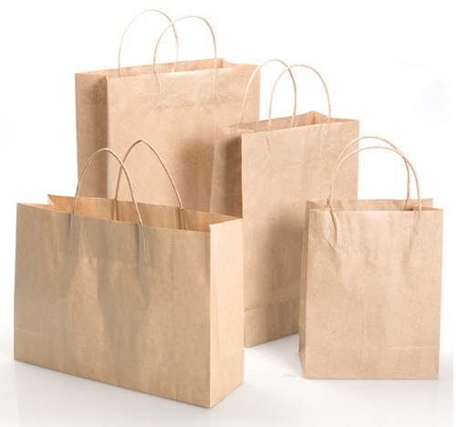 Eco Friendly Paper Bags, For Gift Packaging, Shopping, Size : Multisize