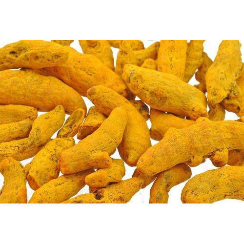 Raw Turmeric Finger, Color : Light Yellow