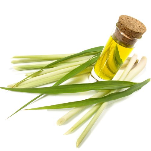 Organic Lemongrass Oil, For Flavouring Tea, Feature : Freshness