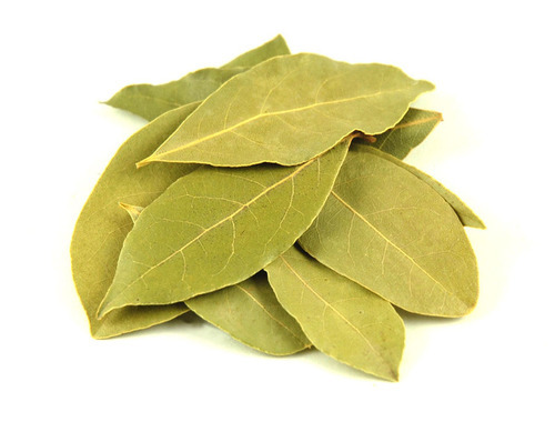 Bay Leaf, Color : Green